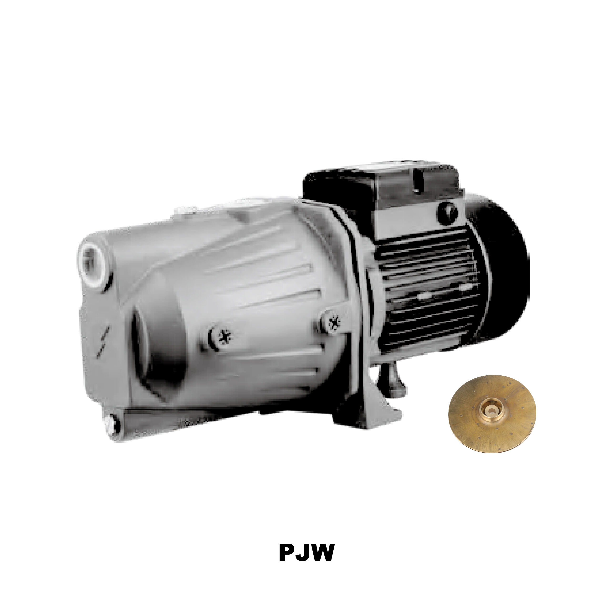 Jet Pump Wholesale Products Suppliers and Manufacturer - Taizhou Gidrox ...